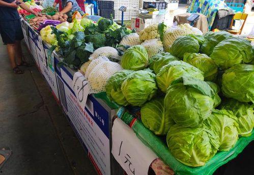 摆摊吃瓜小说,揭秘都市生活的酸甜苦辣