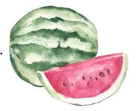 磕瓜和吃瓜的区别,揭秘网络热议背后的差异与趣味