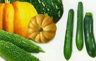 暮秋吃瓜后续,一场别开生面的吃瓜盛宴