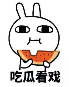 带你吃瓜补作业,轻松掌握知识,快乐学习之旅