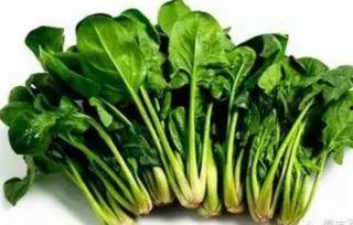 吃葫芦瓜可以吃菠菜吗,探索健康饮食的完美搭配