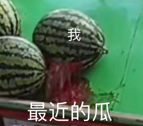 吃瓜专业,吃瓜群众眼中的明星幕后故事