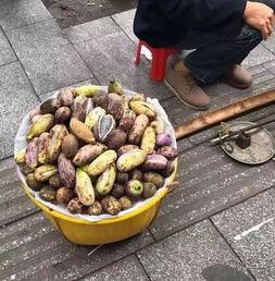 隆回的吃瓜事件,一场引发社会热议的网络风波