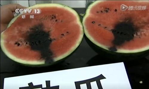 吃甜甜的瓜视频,揭秘“吃甜甜的瓜”视频背后的故事