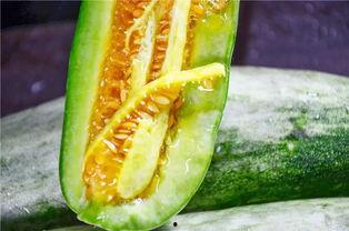 还蜜瓜怎么吃
