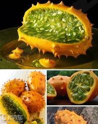 非洲刺瓜怎么吃,探索独特风味与营养