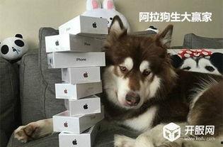 游戏吃瓜资讯博主,跟随博主探寻幕后真相