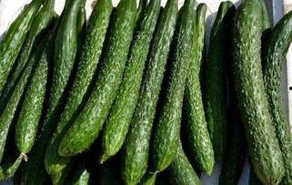 吃瓜为什么减肥,揭秘瓜类食物的神奇瘦身效果