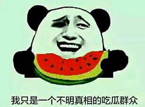 吃瓜群众社会题,吃瓜群众视角下的社会现象解析