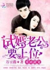 吃瓜言情小说,穿越时空的甜蜜邂逅