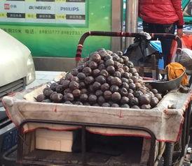 庄河吃瓜大队,揭秘民间趣味生活圈