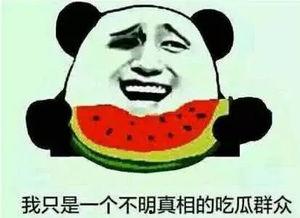 花式吃瓜名场面,盘点那些令人捧腹的花式吃瓜名场面